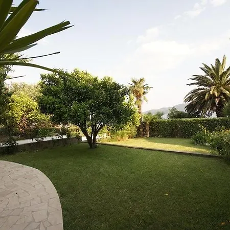 Apartamento Apartments Viganj Viganj