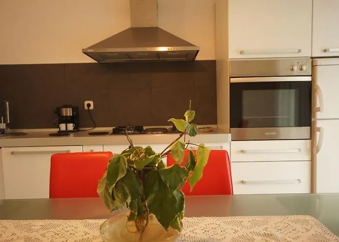 Apartments Viganj شقة