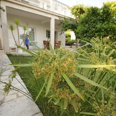 Apartments Viganj *